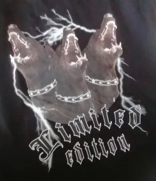 Camiseta FSBN                    New Yorker