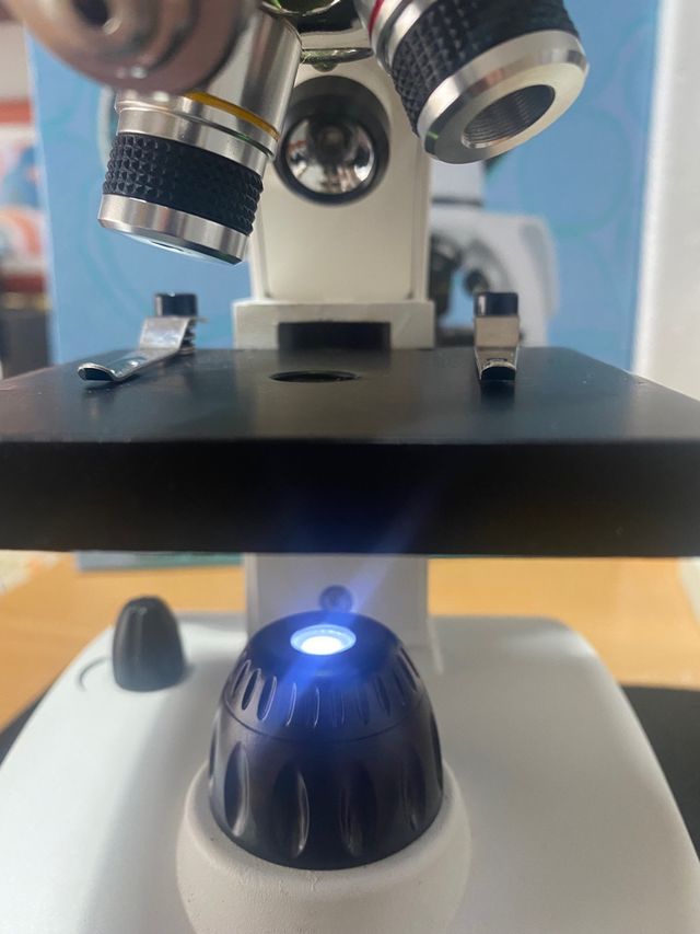 Microscopio Telmu XSP75