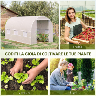 Serra per Orto con 6 Finestre e Porta Avvolgibile,