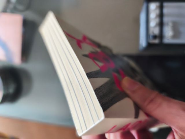 Lady Gaga Monster Ball Tour Pack