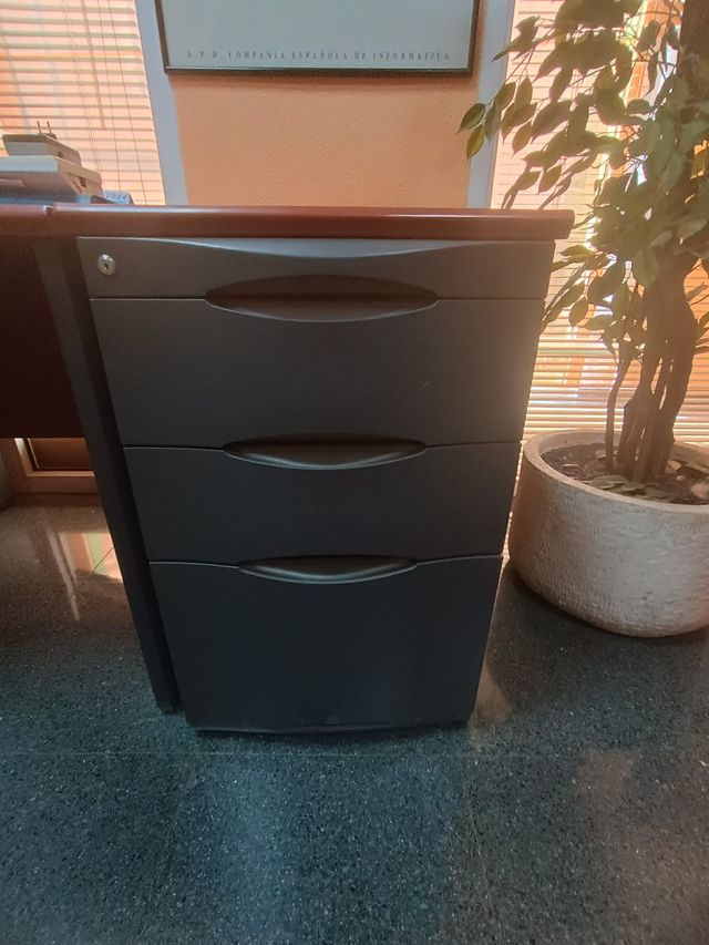 Escritorio con cajonera