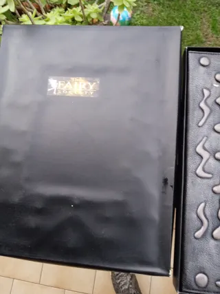 Grande agenda disegno di Selina fenek di una sua