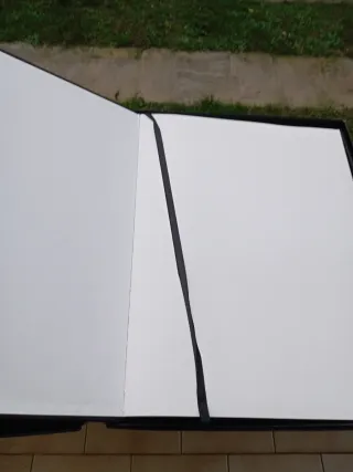 Grande agenda disegno di Selina fenek di una sua