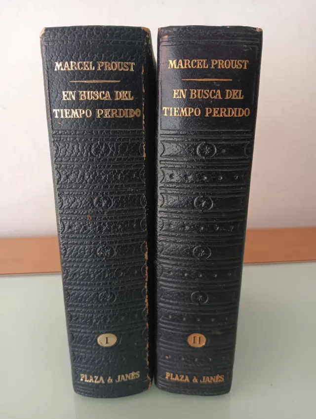 EL TIEMPO PERDIDO MARCEL PROUST