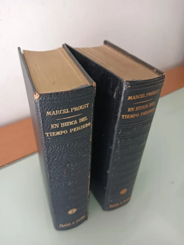 EL TIEMPO PERDIDO MARCEL PROUST