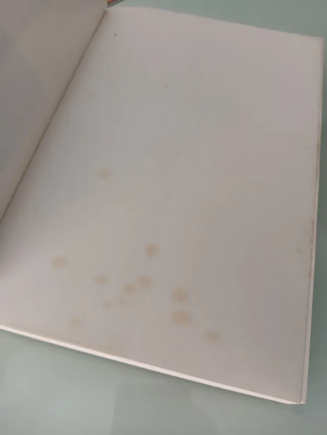 LA LUCHA DE HISPANOAMÉRICA POR SU INDEPENDENCIA DE