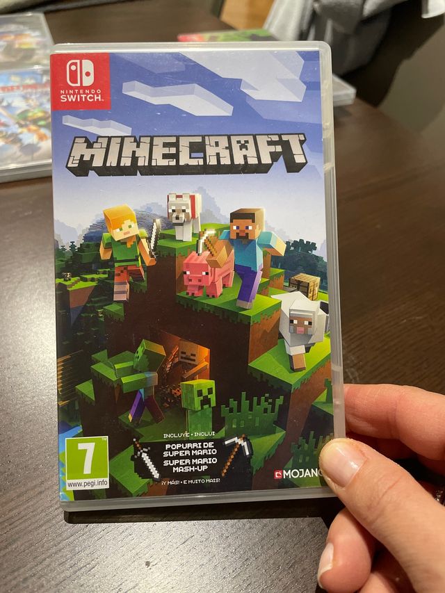 Minecraft Nintendo Switch