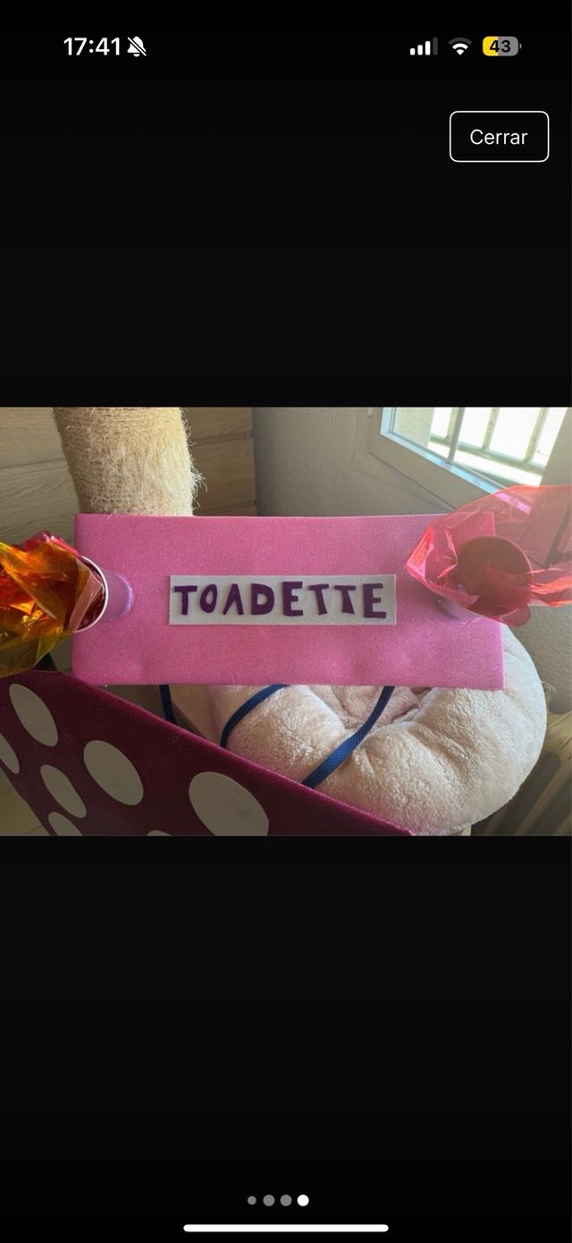 Disfraz Mario Kart Toadete Talla Única