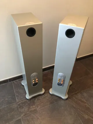 Altavoces Monitor Audio Radius 270HD Plata