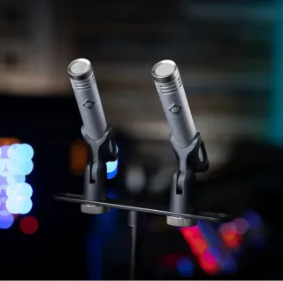 PM-2 Stereo Pair of Small-Diaphragm Cardioid Conde