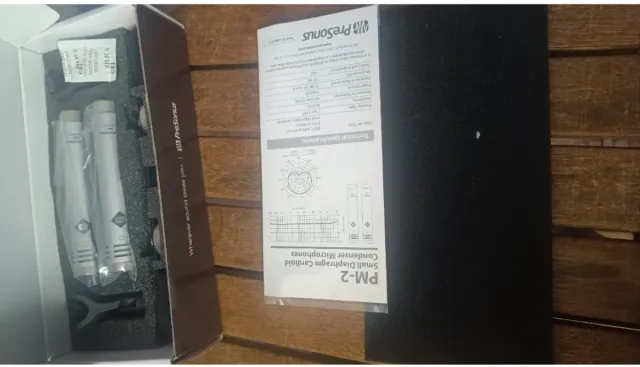 PM-2 Stereo Pair of Small-Diaphragm Cardioid Conde