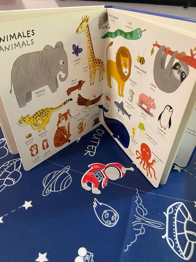 Mi primer imaginario de contrarios bilingüe