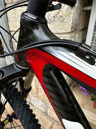 Bicicleta Goka Climber Carbono 100%