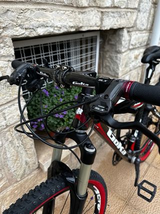 Bicicleta Goka Climber Carbono 100%