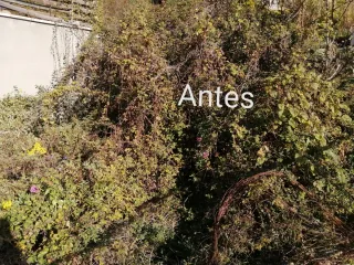 Jardinero económico