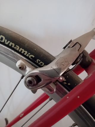 Pinarello cadore