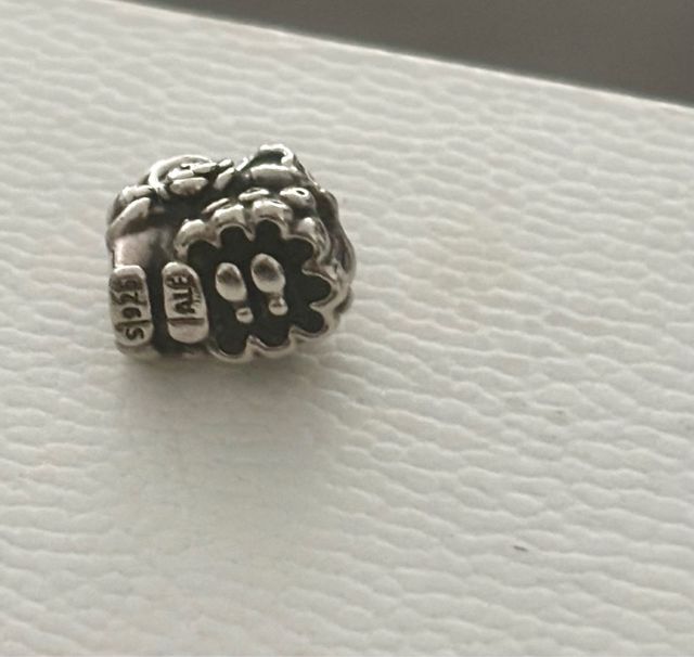 Charm Pandora Novios Plata
