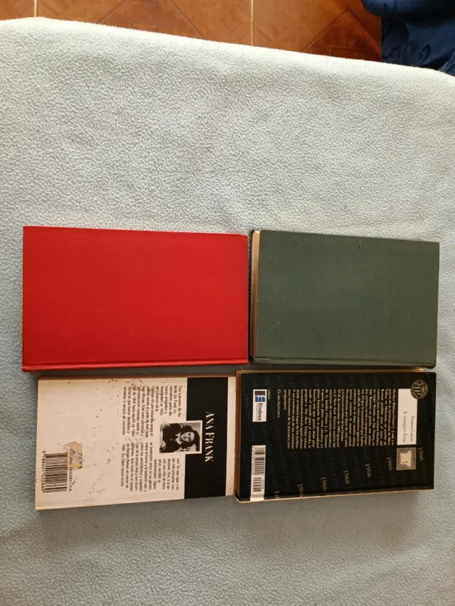 Ana Frank Diario (Fiction, Poetry & Drama) (Spa...