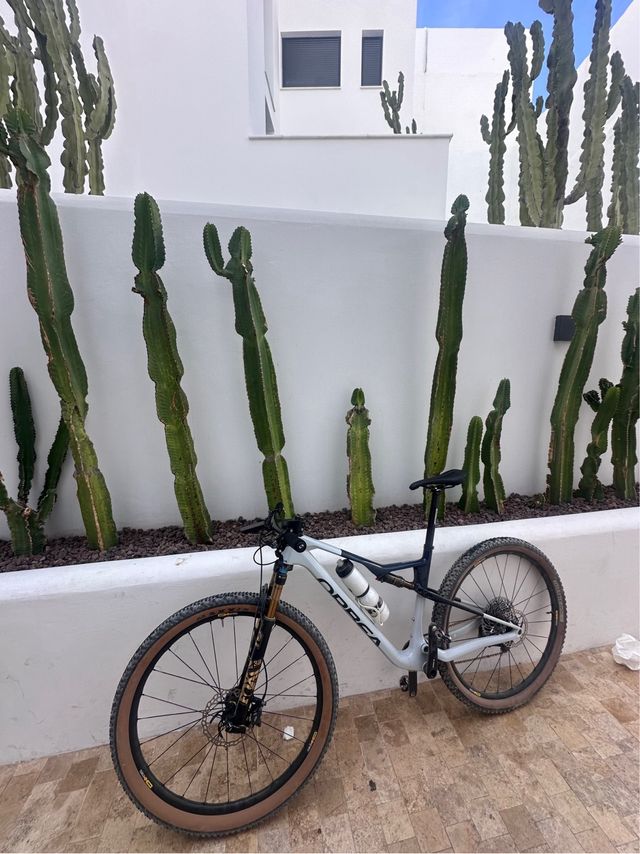 Orbea Oiz