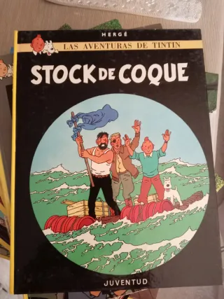 Las aventuras de TINTÍN (10 tomos)