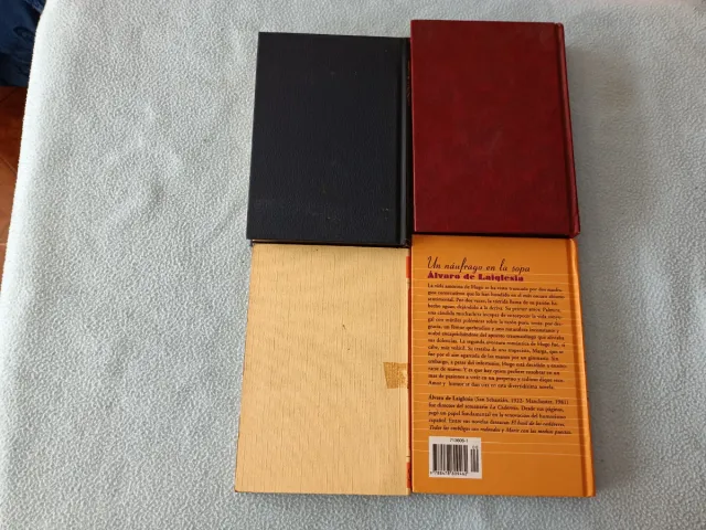 Un náufrago en la sopa (Clásicos del humor) (...