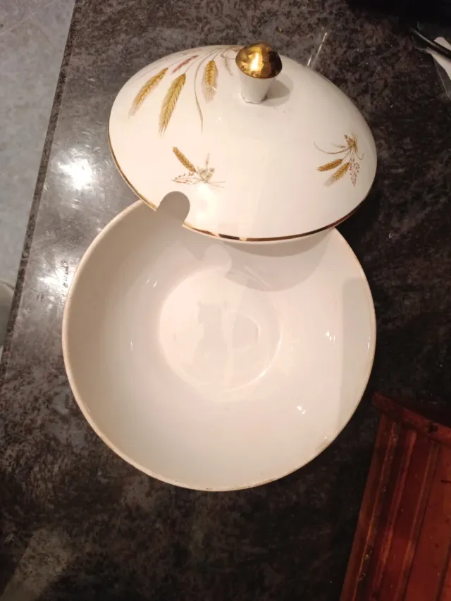 Juego de porcelana antigua