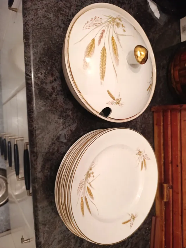 Juego de porcelana antigua