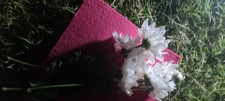 Bombachas de trabajo transpersonal rosas