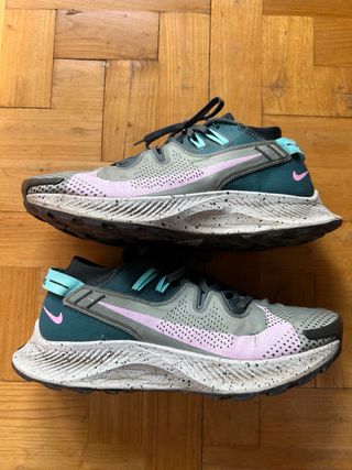 Nike Pegasus Trail 2 Spiral Sage