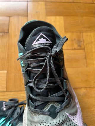 Nike Pegasus Trail 2 Spiral Sage