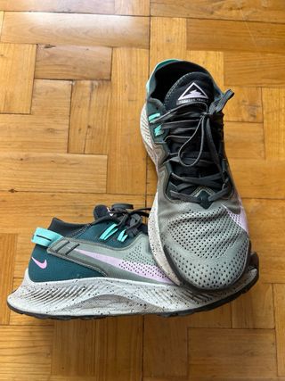 Nike Pegasus Trail 2 Spiral Sage