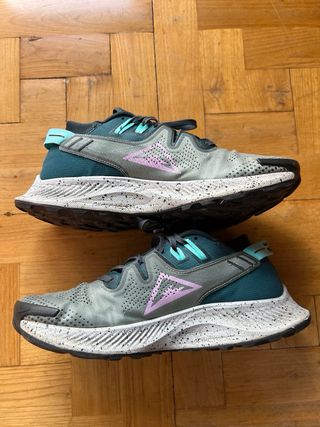 Nike Pegasus Trail 2 Spiral Sage