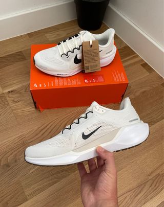 Nike Pegasus 41 “White Black”