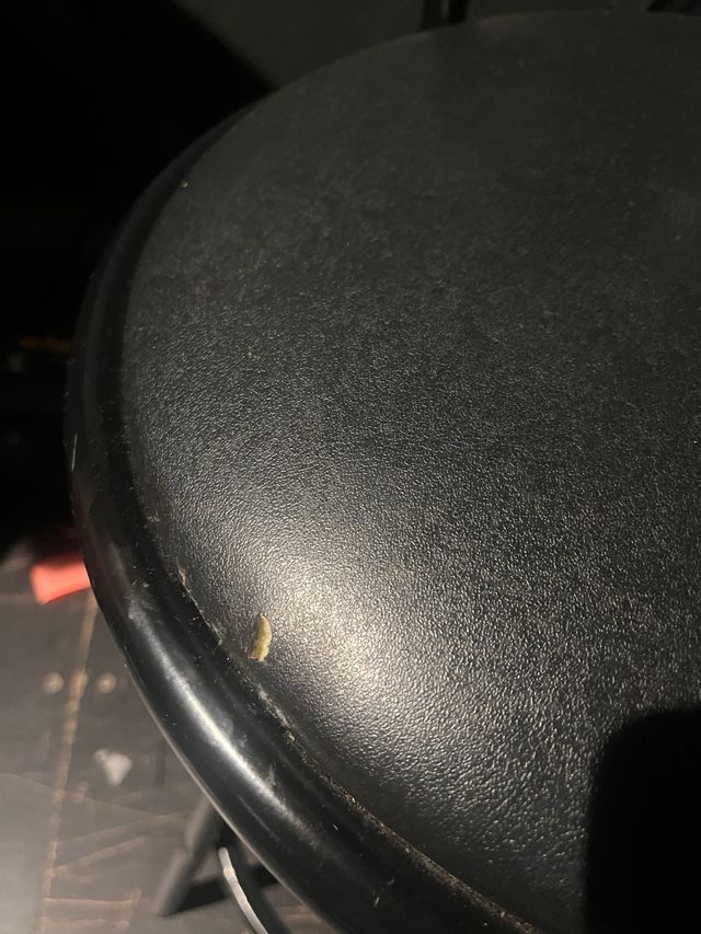 Taburete giratorio negro asiento acolchado (hay 10