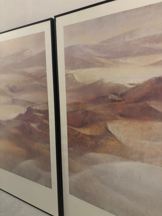 Pack 2 Cuadros Paisaje Desértico