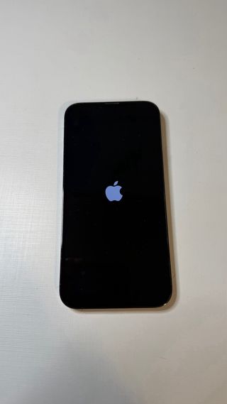 iPhone 13 Pro Max 128 GB Gris espacial