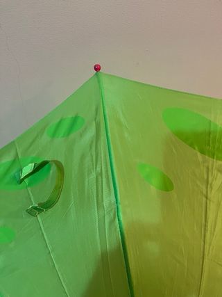 Paraguas infantil verde con cara de rana