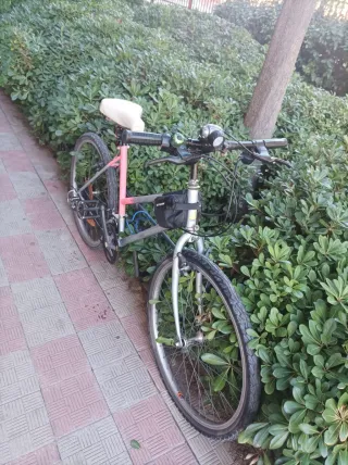 Bicicleta Orbea niña/mujer