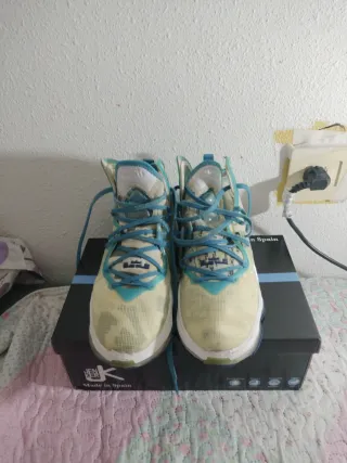 Nike LeBron Space Jam Talla 41