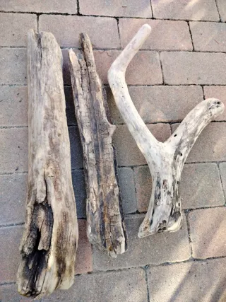 Legni da mareggiata - 3 Pezzi unici