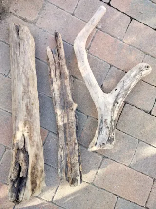 Legni da mareggiata - 3 Pezzi unici