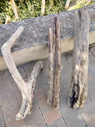 Legni da mareggiata - 3 Pezzi unici