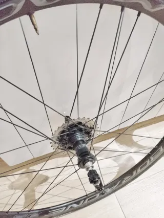 Ruedas Campagnolo Bora One Perfil 35 - Cubierta