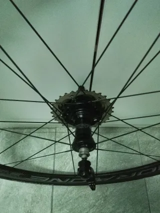 Ruedas Campagnolo Bora One Perfil 35 - Cubierta