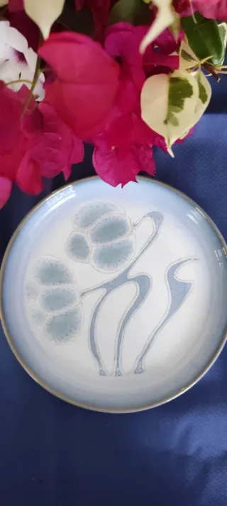 Plato  DENBY azul y blanco.
