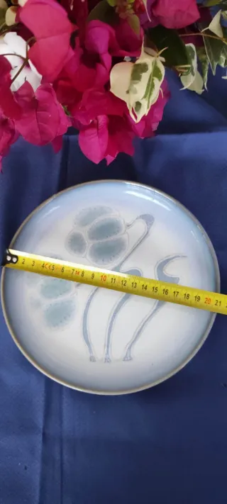 Plato  DENBY azul y blanco.