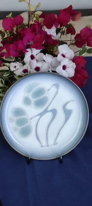 Plato  DENBY azul y blanco.