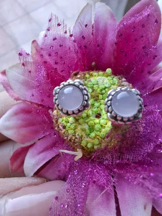 Orecchini Pandora Mese Ottobre Rosa Argento