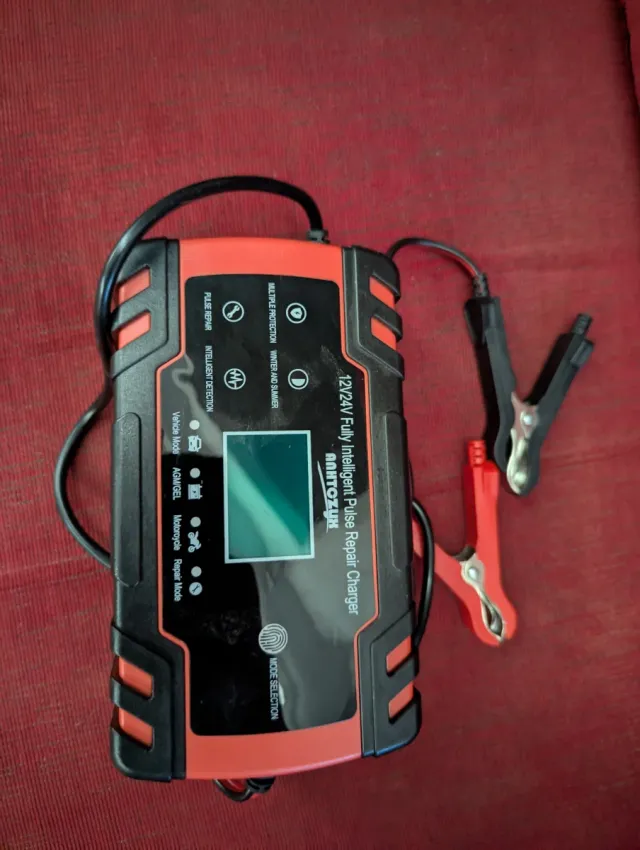 Cargador Batería Coche 12V/24V