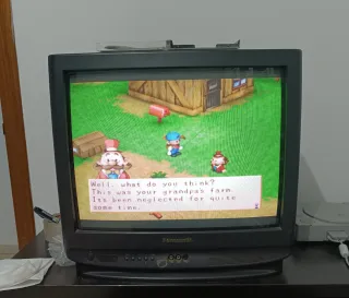 Harvest Moon PS1 (PlayStation 1)
